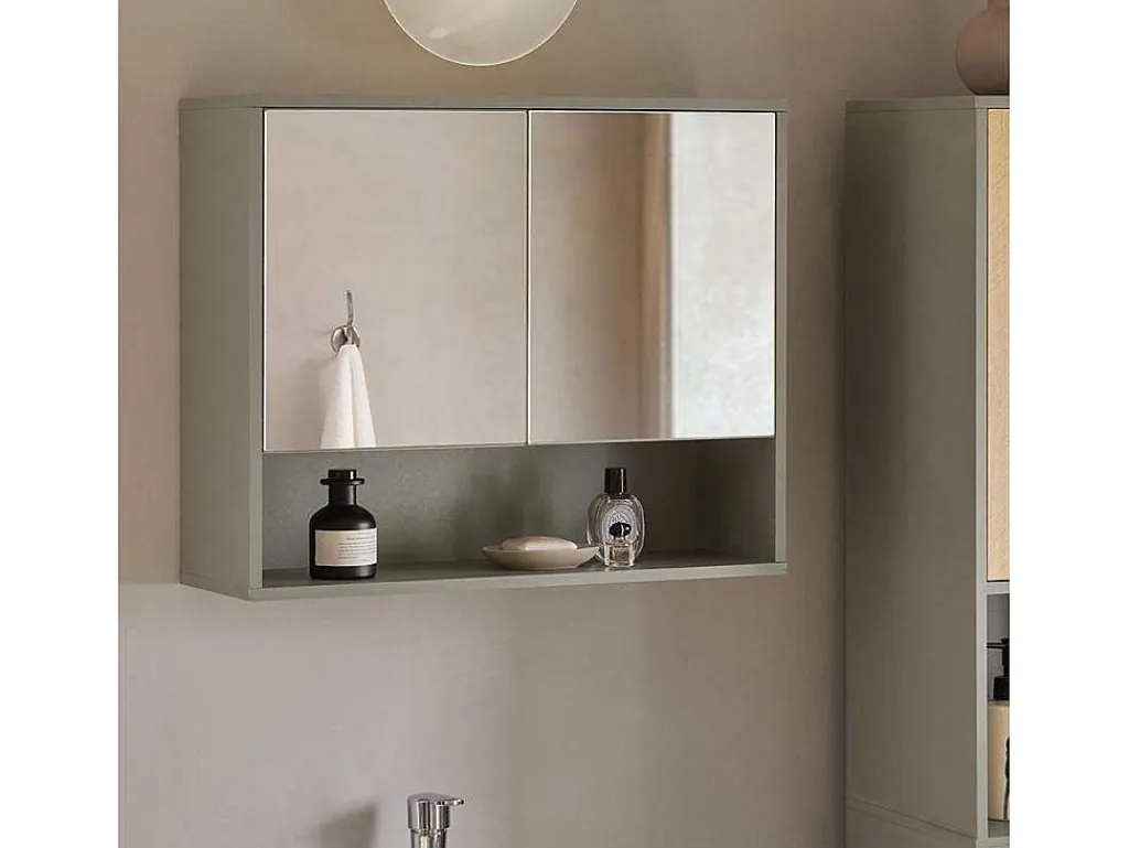 Badkamerwandkast Met Spiegel, Wandgemonteerd Wastafelmeubel, Opbergkast Met 2 Deuren, Open Vak En Verstelbare Planken, 60 X 20 X 49,5 Cm, Grijs, Bzr134-Ng-Sobuy New