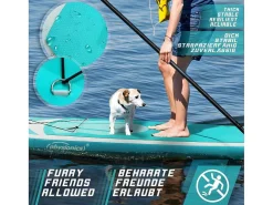 Sup Board Nymphe 366 Cm - Mintgroen - Incl. Accessoires-Vente-unique Clearance