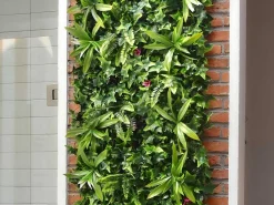 Synthetische Groene Begroeide Muur - Pakket Van 3M - Ikaz-Vente-unique Online