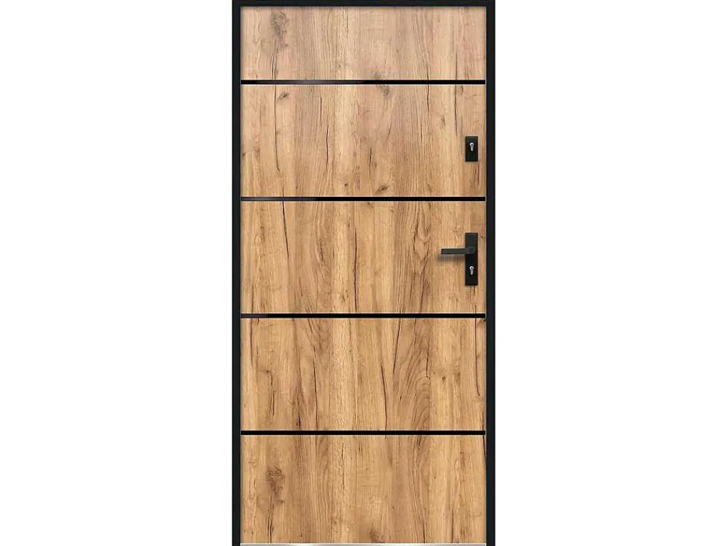 Toegangsdeur Van Roestvrij Staal H207 X B100 Cm Eik-Effect - Links - Naxara-Vente-unique Hot