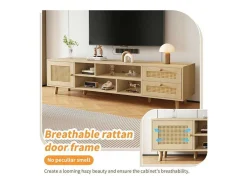 Tv-Meubel Van 160 Cm - 1 Deur, 2 Laden En 4 Vakken - Naturel-ModernLuxe Discount
