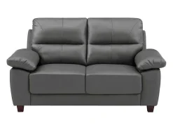 Tweezitsbank Van Antracietgrijs Leer Tasani-Vente-unique Outlet