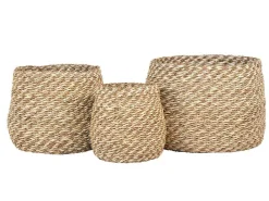 Venoso 3 St. Manden Naturel.-House Nordic Hot