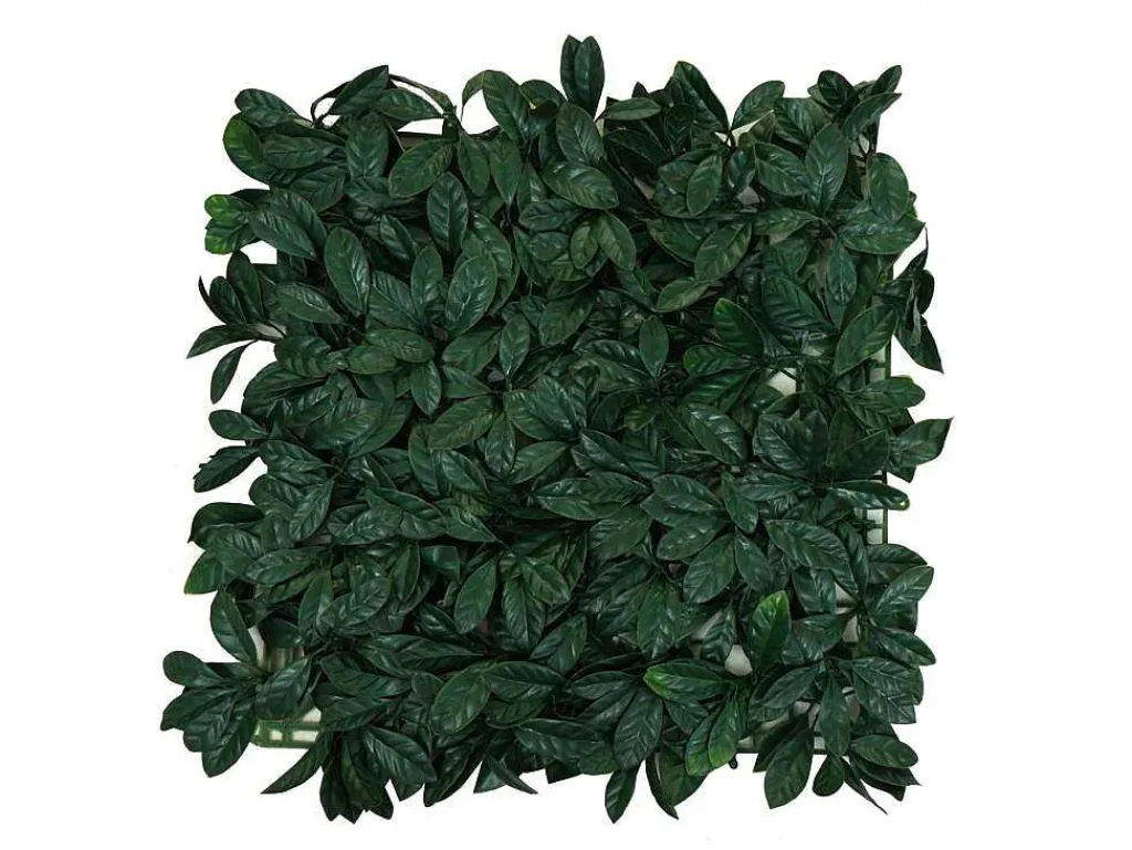 Wandtegel Mcw-L78, Laurier Groen-Vente-unique Online