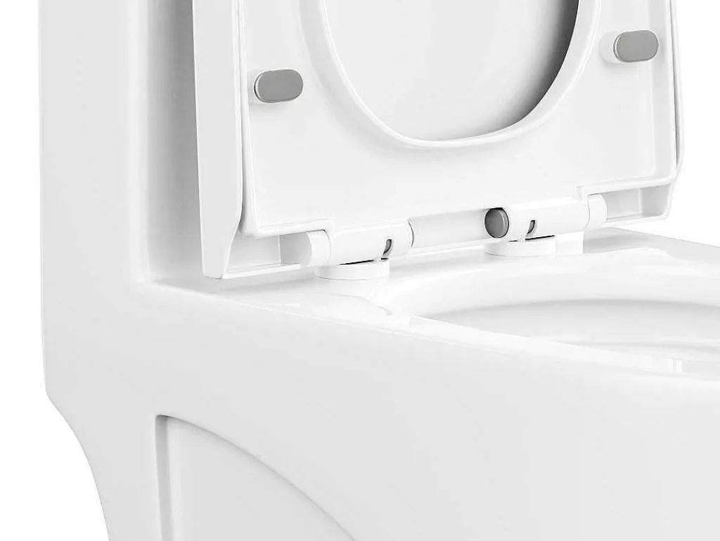 Witte Wc Om Te Plaatsen Van Keramiek - Nagilam-Vente-unique Hot