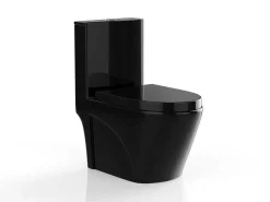 Zwarte Glanzende Wc Om Te Plaatsen Van Keramiek - Nagilam-Vente-unique