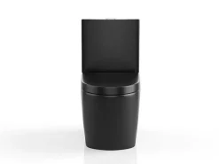 Zwarte Matte Wc Om Te Plaatsen Van Keramiek - Nagilam-Vente-unique Clearance
